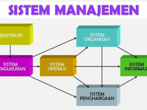 Generate Awareness and  Get Understanding Improvement Hospital Management System