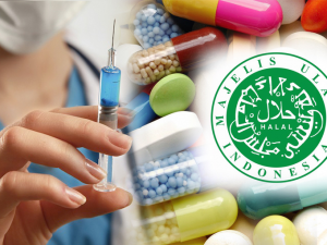 Look at the Critical Points of Halal in Traditional Medicine