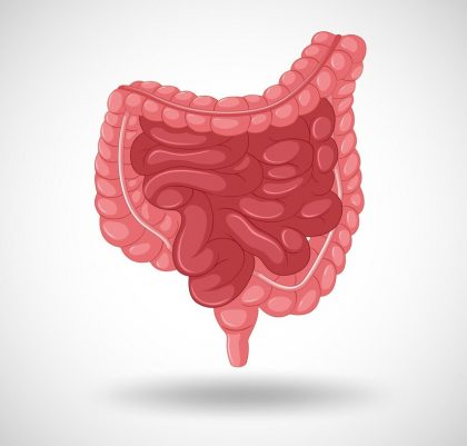 Penyakit Radang Usus yang Sulit Dibedakan – Penyakit Crohn vs Kolitis Ulseratif